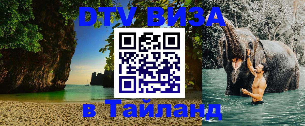 Оформление DTV визы под ключ: стоимость и тарифы, только загранпаспорт - 20.11.2025 